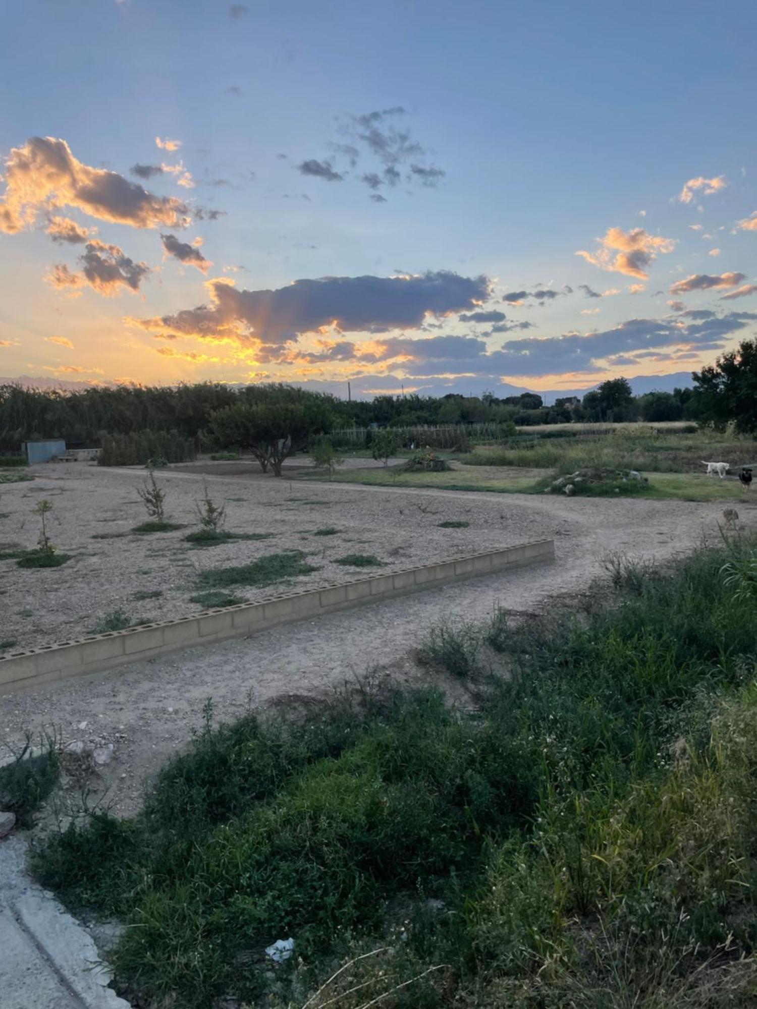 Emporda Country House Borrassá Dış mekan fotoğraf